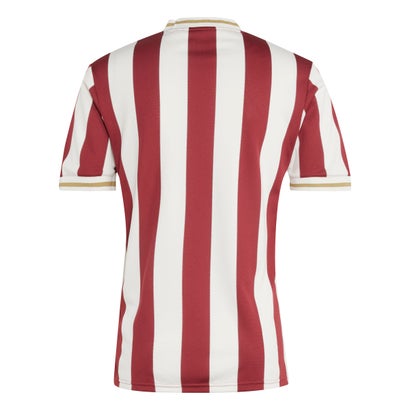 Versione Giocatore 1. Maglia da calcio FC Norimberga 2025/26 - 125° anniversario