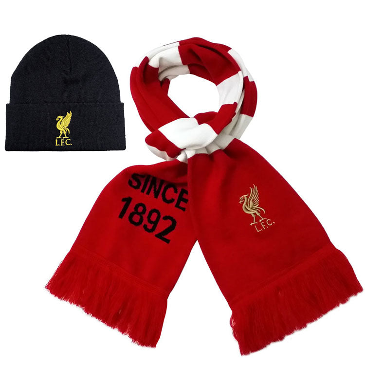 Cozy Knit Beanie and Scarf Combo