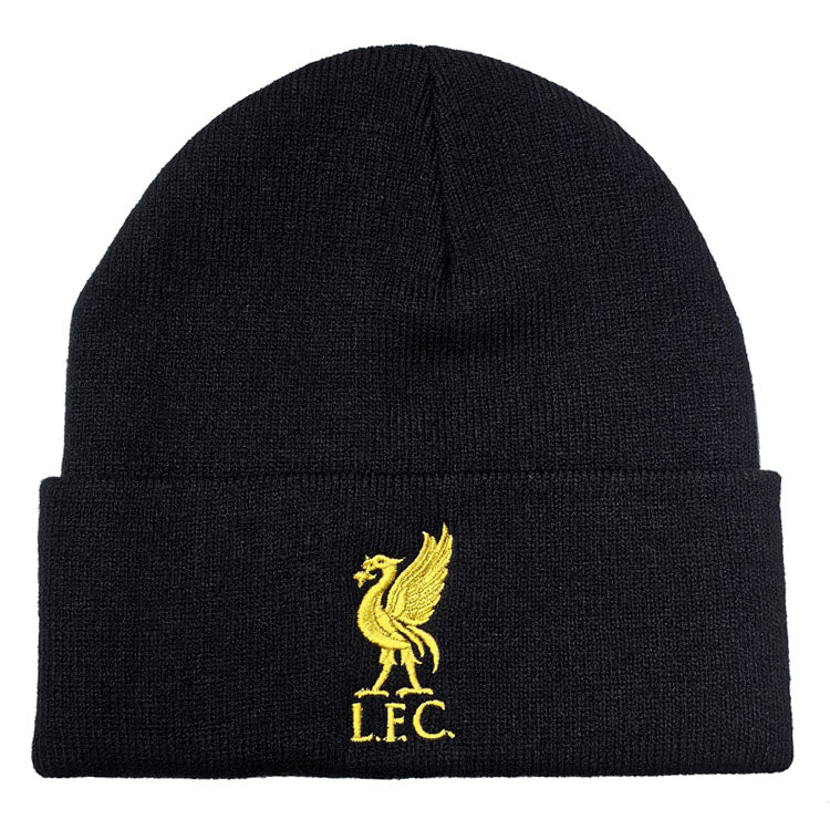 Knit Beanie Hat – Winter Warm Cuffed Beanie