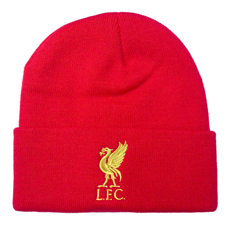 Knit Beanie Hat – Winter Warm Cuffed Beanie