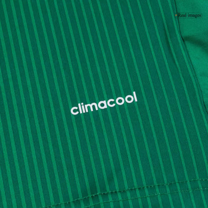 Maglia da calcio retrò Messico Home 2014