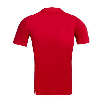 Retro Soccer Jersey Spain Home 2008